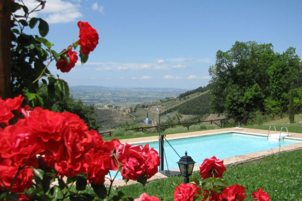 Il giardino e la piscina