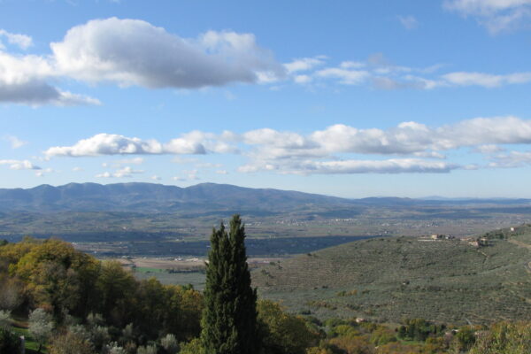 View from the Loggia